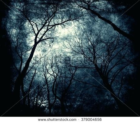 450x395 Scary Trees Unispa.club