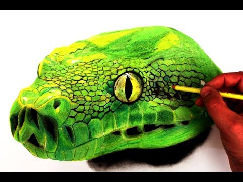 480x360 Drawing Snake (Realistic Art) Scary Aymeric Bordone