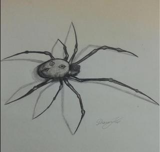 Scary Spider Drawing at GetDrawings | Free download
