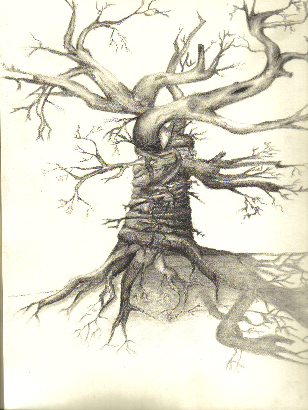 Scary Tree Drawing at GetDrawings | Free download