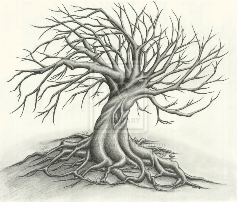 800x684 Tree Drawing Tattoo