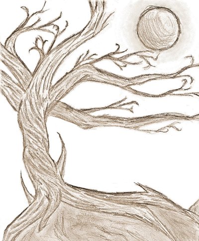 Scary Trees Drawing at GetDrawings | Free download