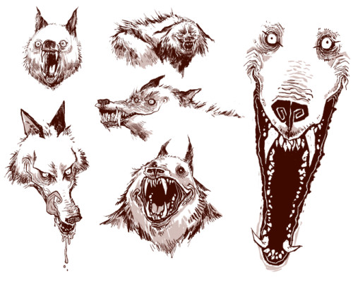 scary-wolf-drawing-64.png
