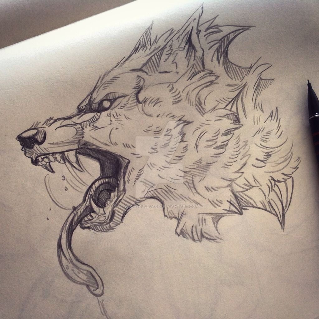 Scary Wolf Drawing at GetDrawings | Free download