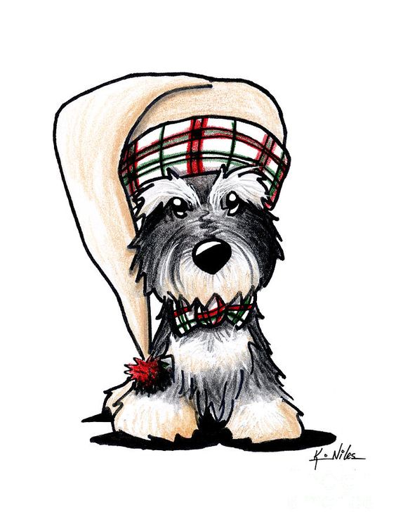 564x752 Schnauzer Drawing