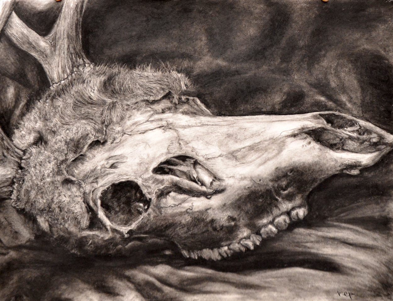 1250x957 Scholarships