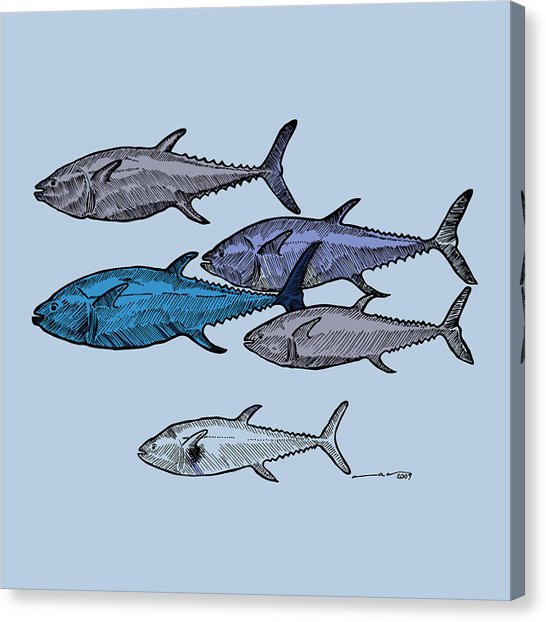 546x622 Tuna School Of Fish Drawing By Karl Addison