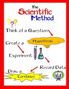 Scientific Method Drawing at GetDrawings | Free download