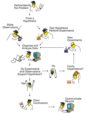 300x392 Scientific Method Flowchart