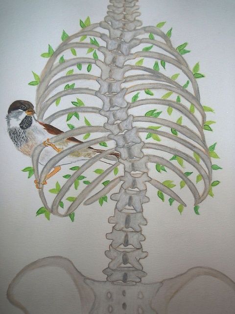 480x640 Inquisitive Bird, Crooked Tree Scoliosis, Scoliosis Surgery