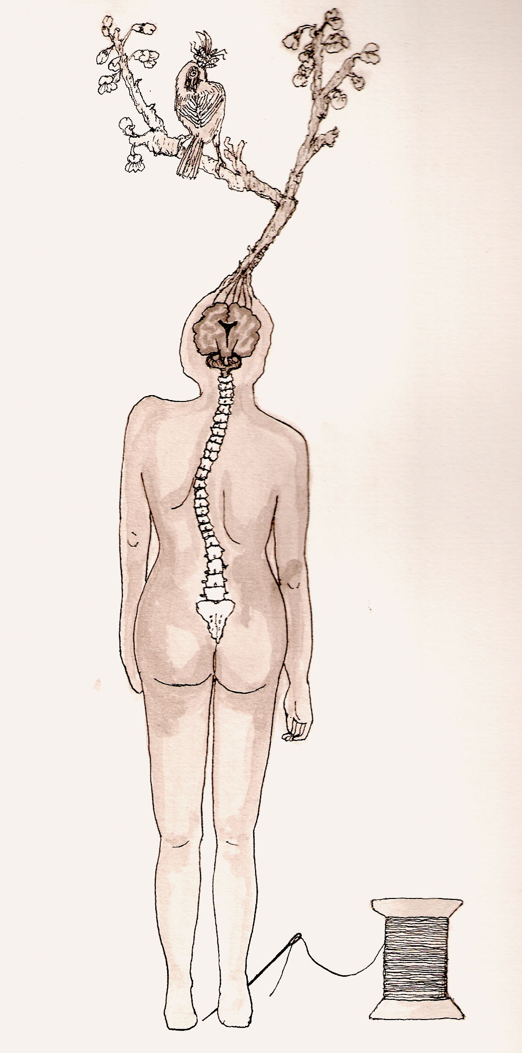 1062x2140 Drawing Ephemera