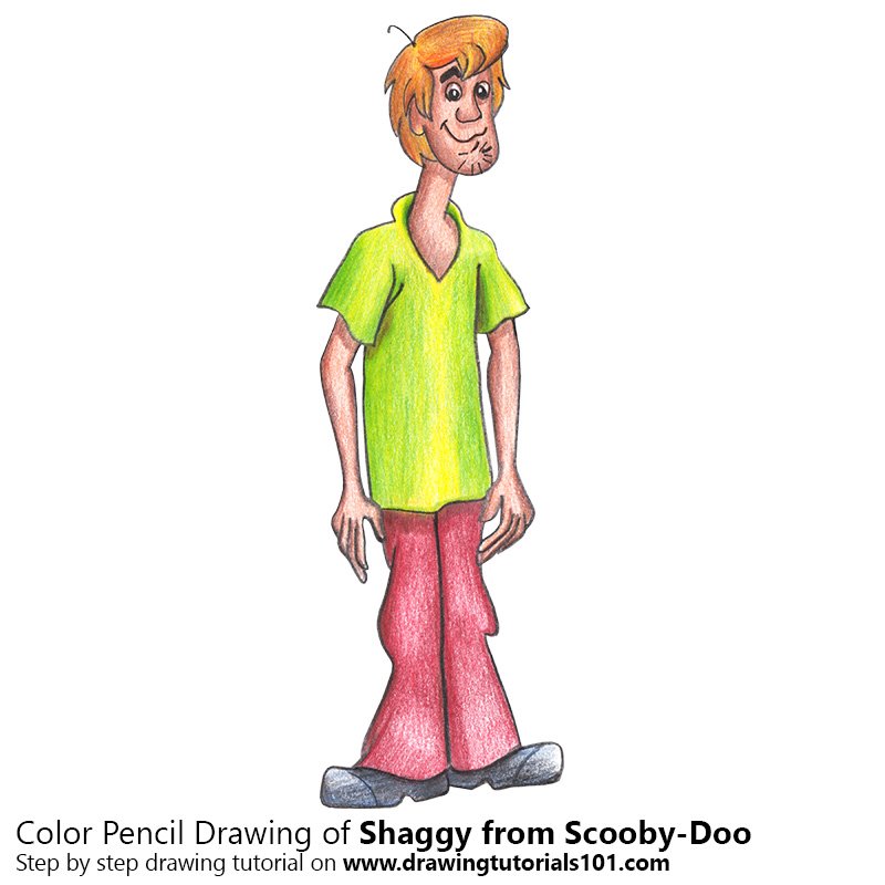 800x800 Shaggy From Scooby Doo Colored Pencils