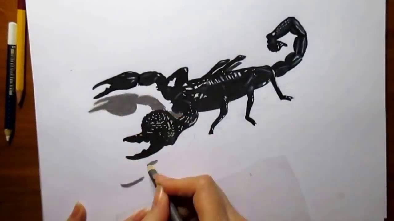 1280x720 3d Pencil Drawing Scorpion How To Draw Realistic Animals