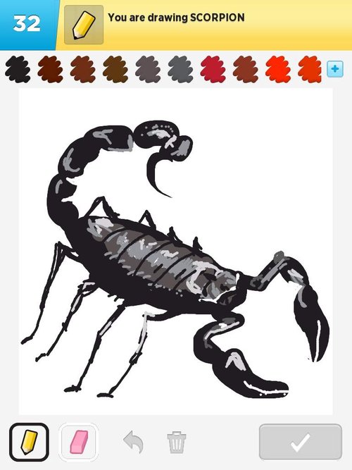 500x667 Scorpion Drawings