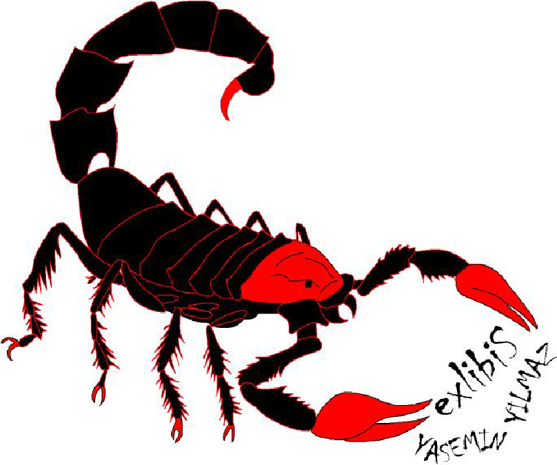 808x675 Scorpion Drawing By Yaseminyilmaz1992