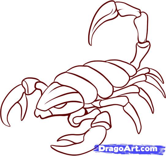 542x508 Drawn Scorpion