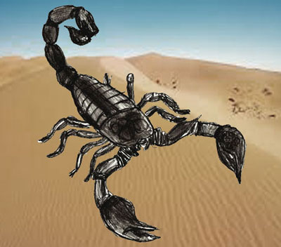 400x352 How To Draw A Scorpion