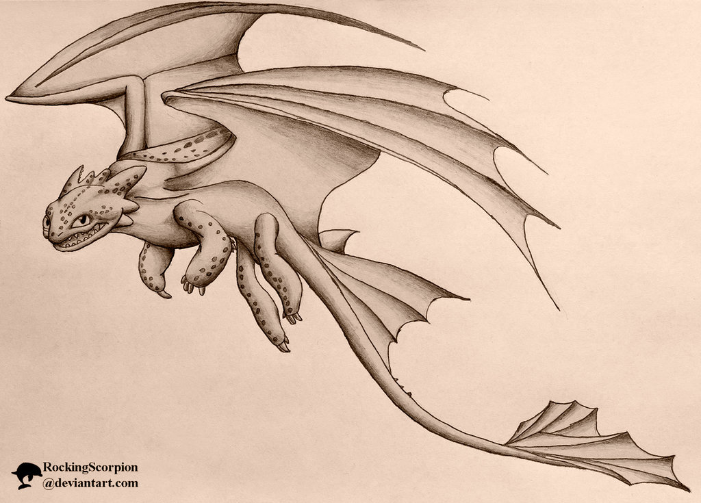 1024x735 Toothless Pencil Drawing By Rockingscorpion