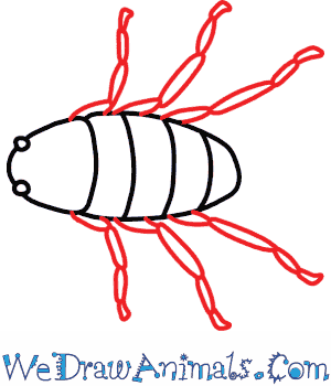 300x350 How To Draw A Scorpion