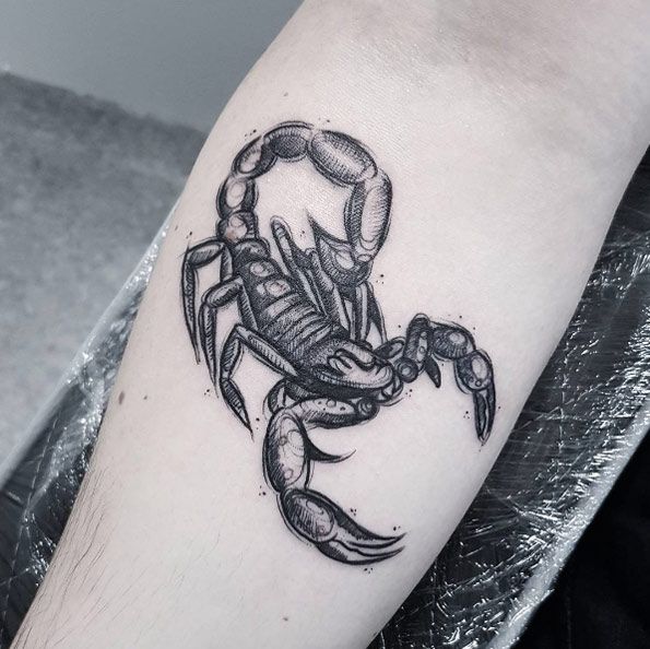 595x594 60 Reasons Why You Need A Sketched Tattoo Design Scorpion