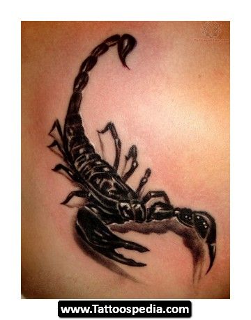 360x460 Scorpion Tattoo Designs 04 Tattoo