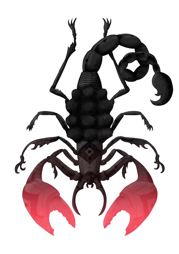 600x849 20 Best Scorpions Images On Scorpion, Scorpio And Artists