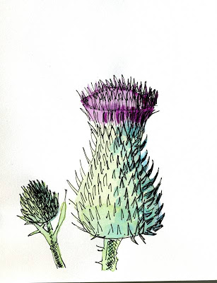 307x400 The Verdant Man Edm