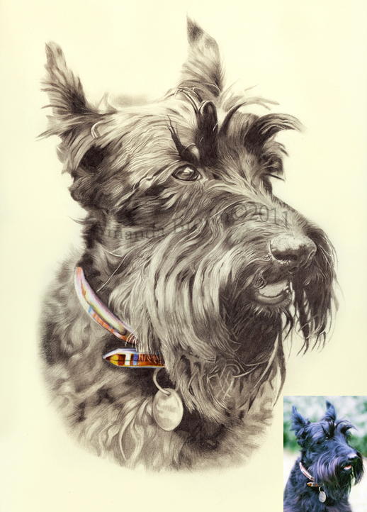 518x722 Jack The Scottie Dog