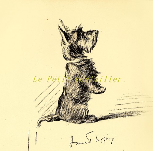 500x493 1937 Lucy Dawson,