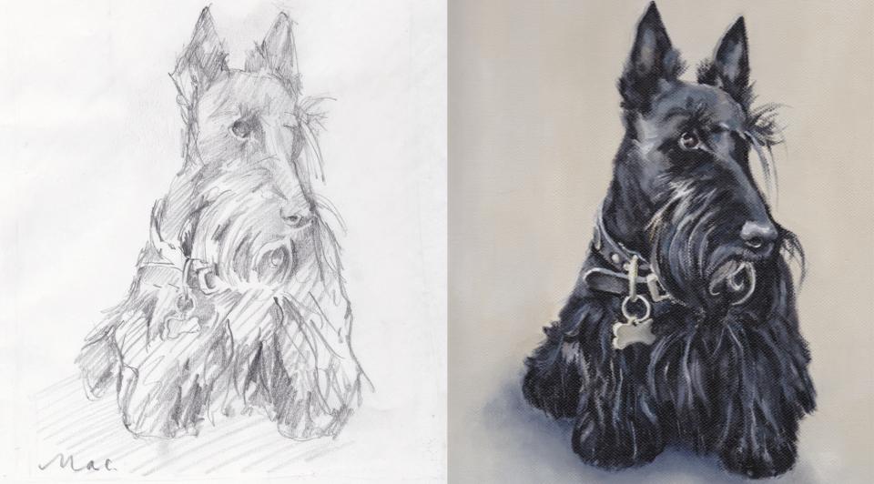 960x532 Bonnie Portraits