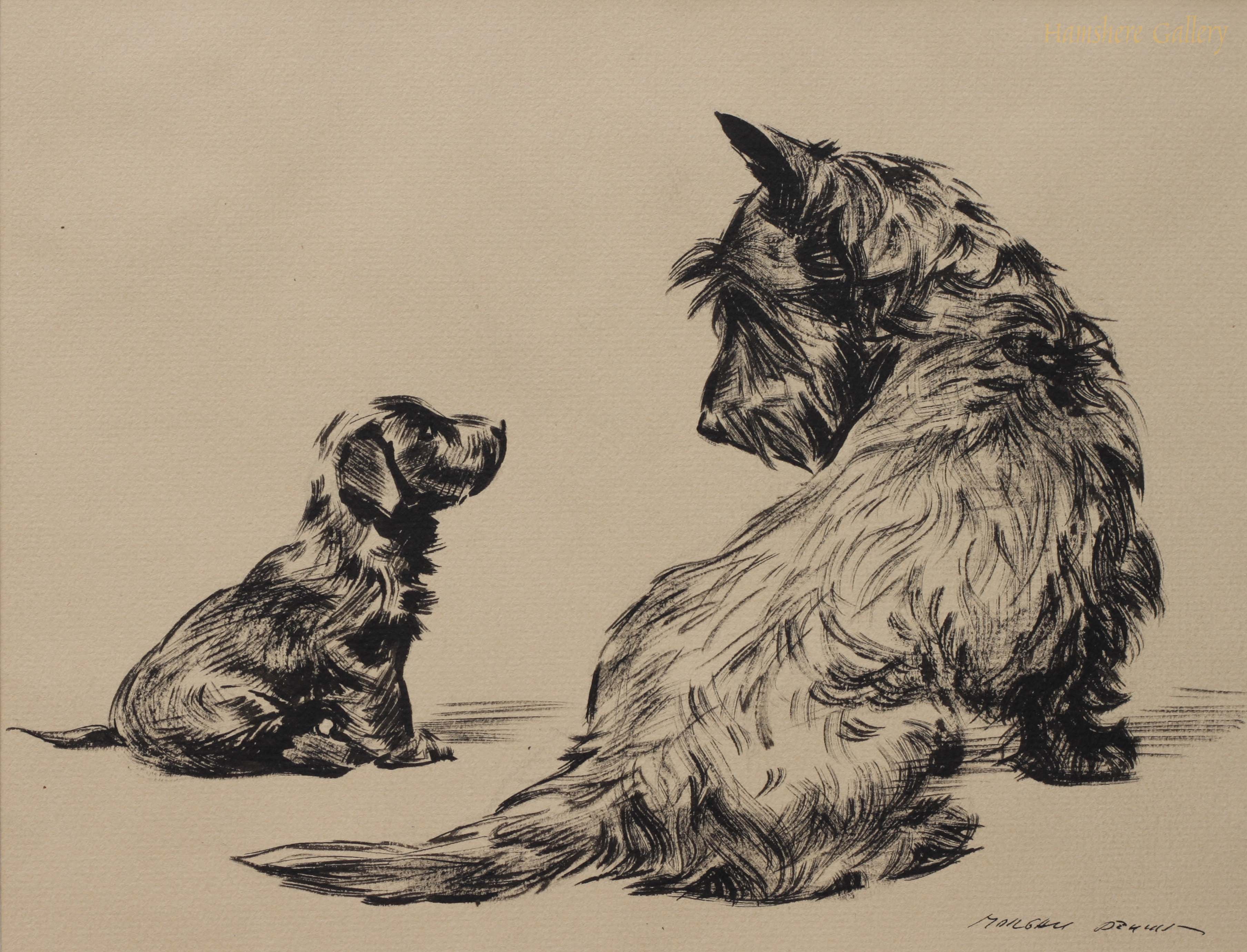 3616x2760 Category Individual