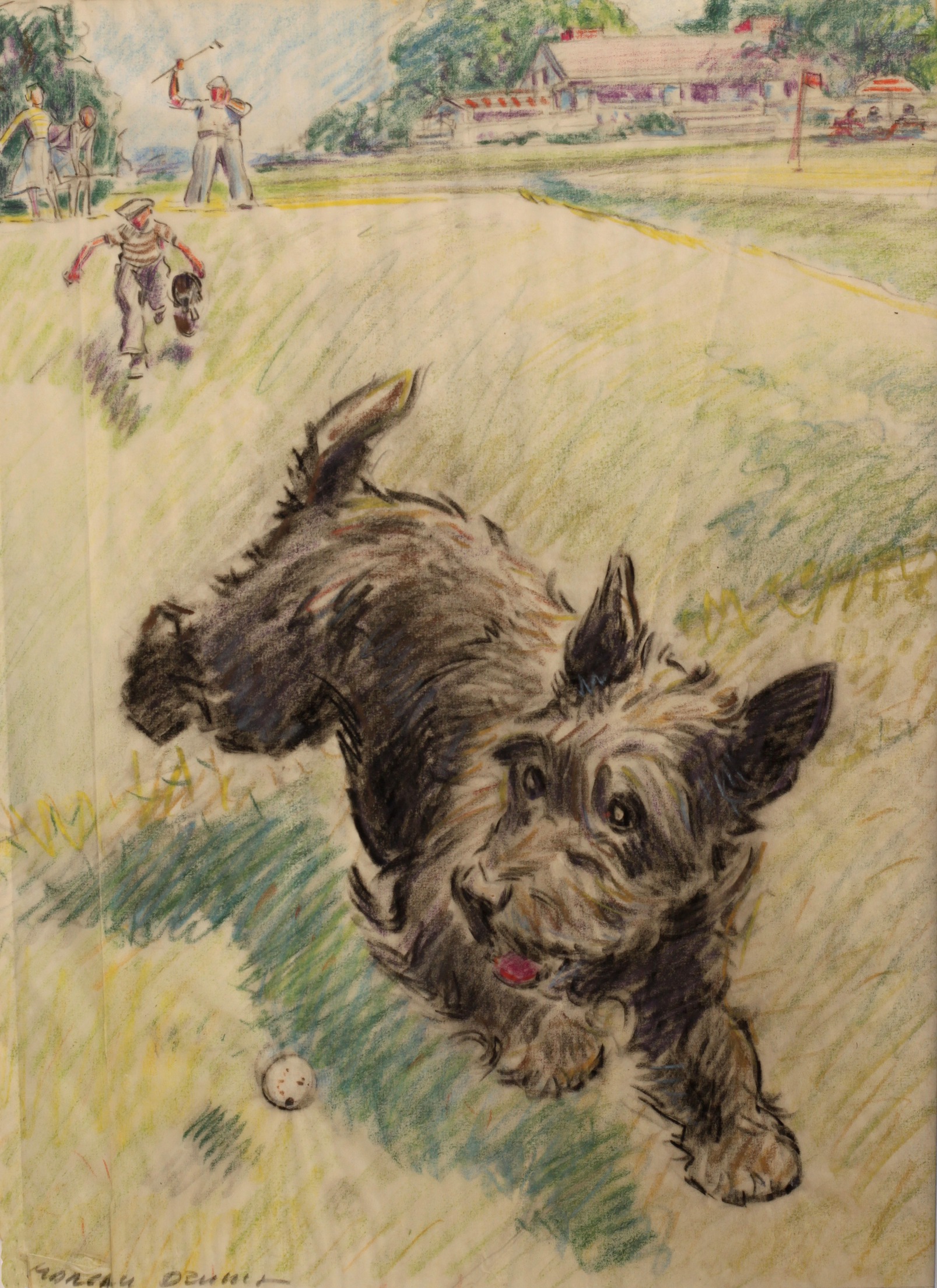 1607x2210 Coloured Pencil Drawing Of Scottish Terrier Chasing A Golf Ball By