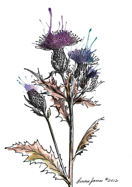 453x640 Illustration Thistles