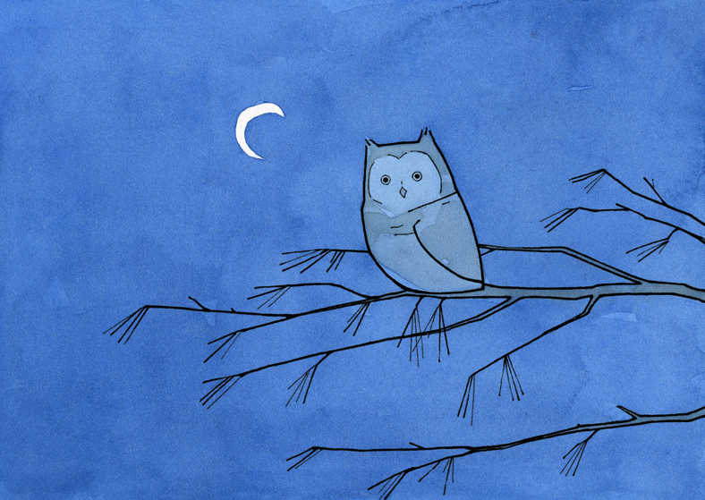 788x559 Screech Owl And Moon Drawing 100 Owls