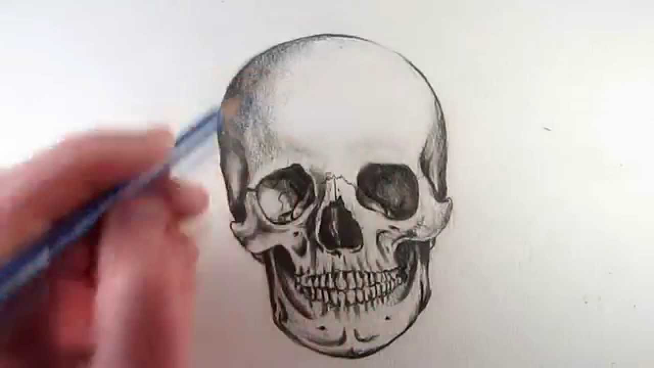 1280x720 How To Draw A Realistic Skull Narrated Step By Step