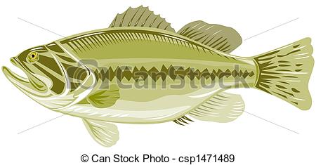 450x235 Illustration Of A Sea Bass Stock Illustration