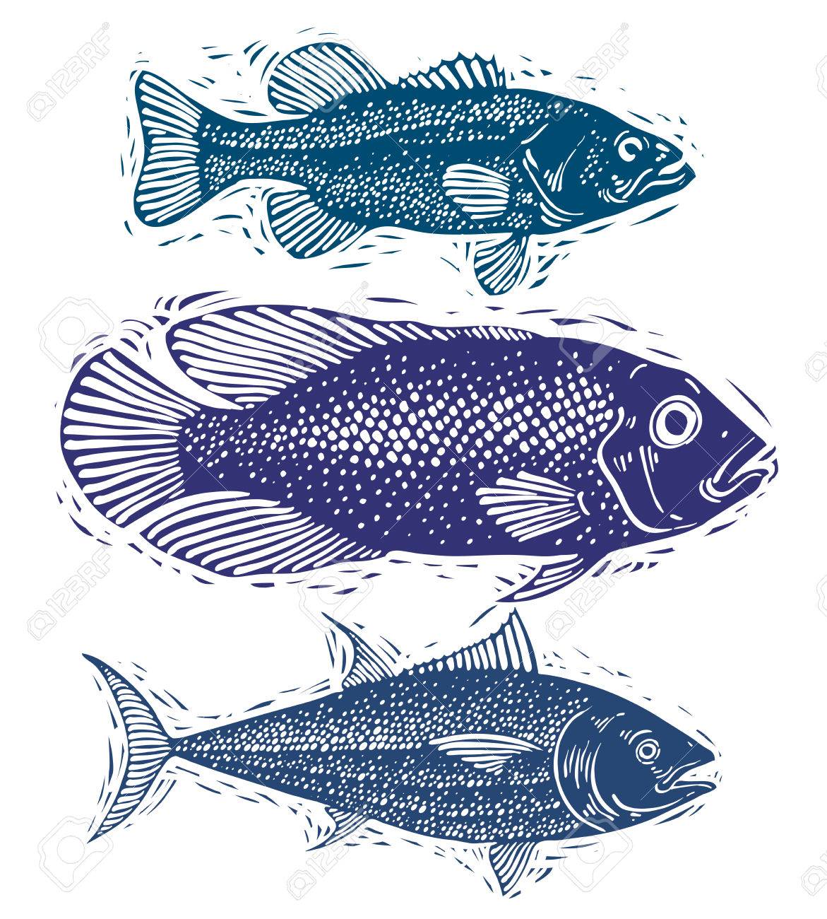 1171x1300 Set Of Vector Fishes, Different Underwater Species. Organic