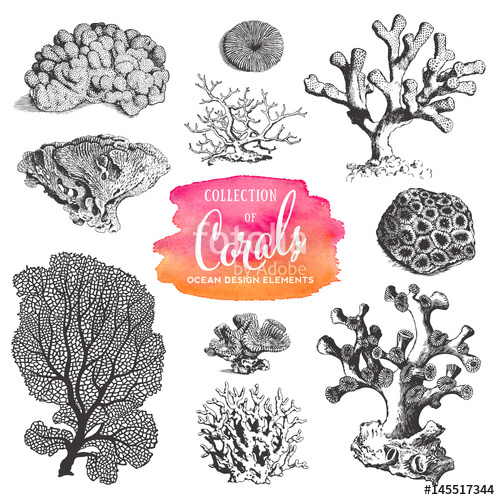 500x500 Summer, Beach And Ocean Vector Design Elements Collection Of Sea