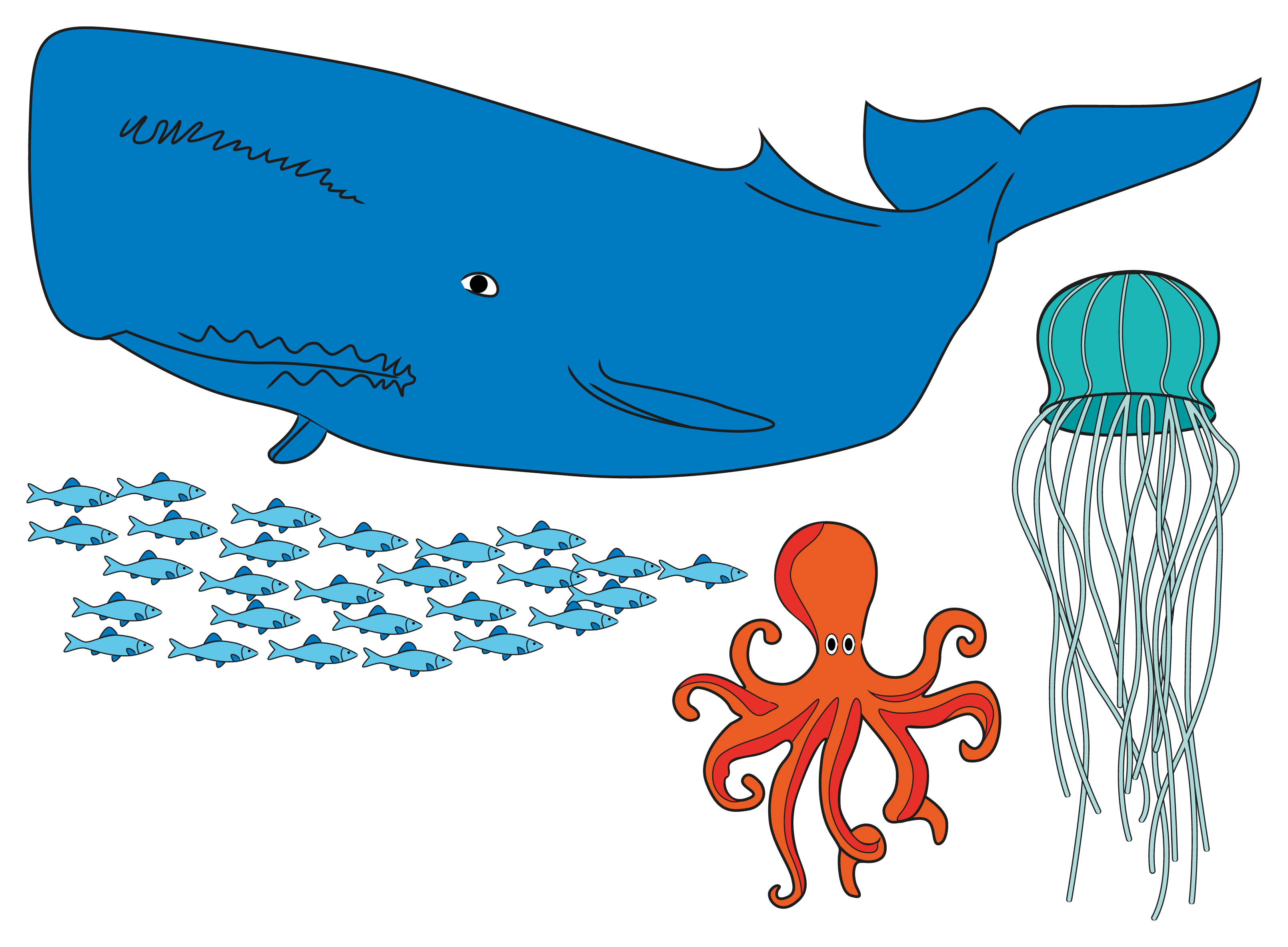 3219x2366 How To Draw Underwater Animals 6 Steps (With Pictures)