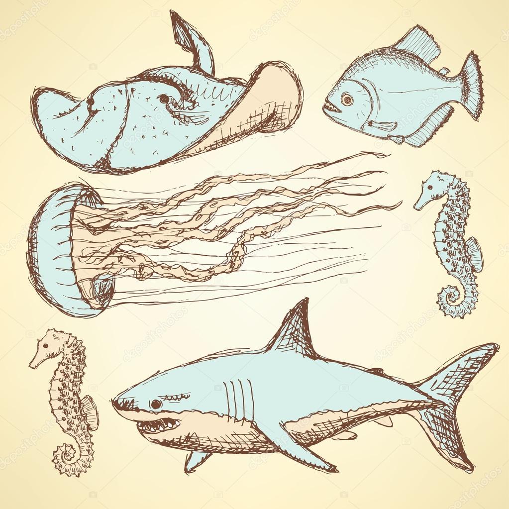1023x1023 Sketch Sea Creatures In Vintage Style Stock Vector Kali13