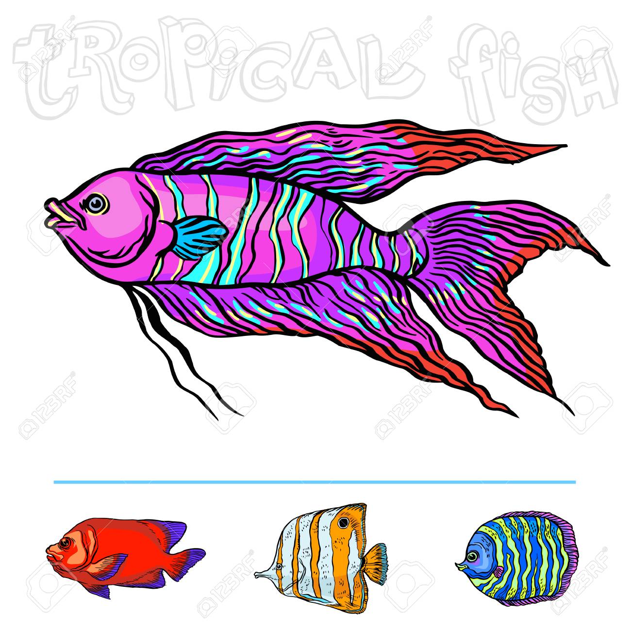 1300x1300 Bright Tropical Sea Fish Vector Hand Drawing Linear Illustration
