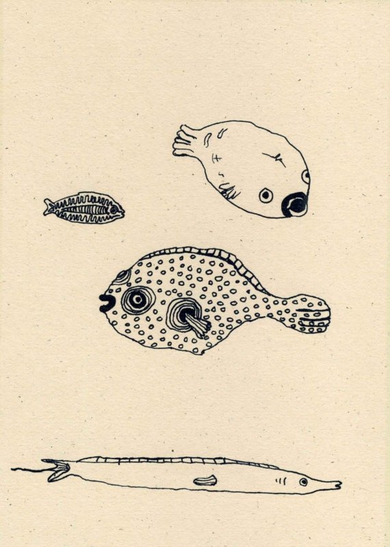 570x798 Red Sea Fishes Drawing Art, Prints, Posters Sea