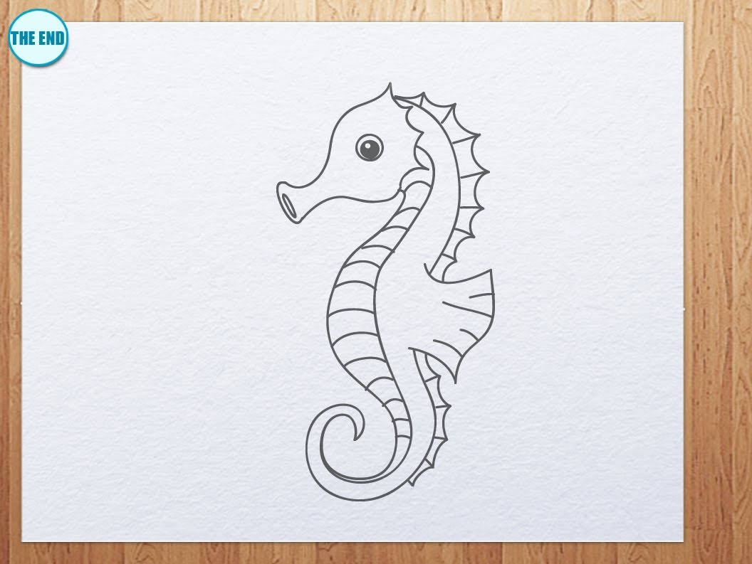 1056x793 How To Draw Seahorse