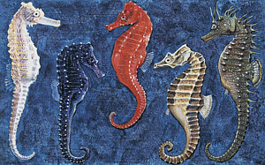 300x187 Sea Life Drawings Fine Art America