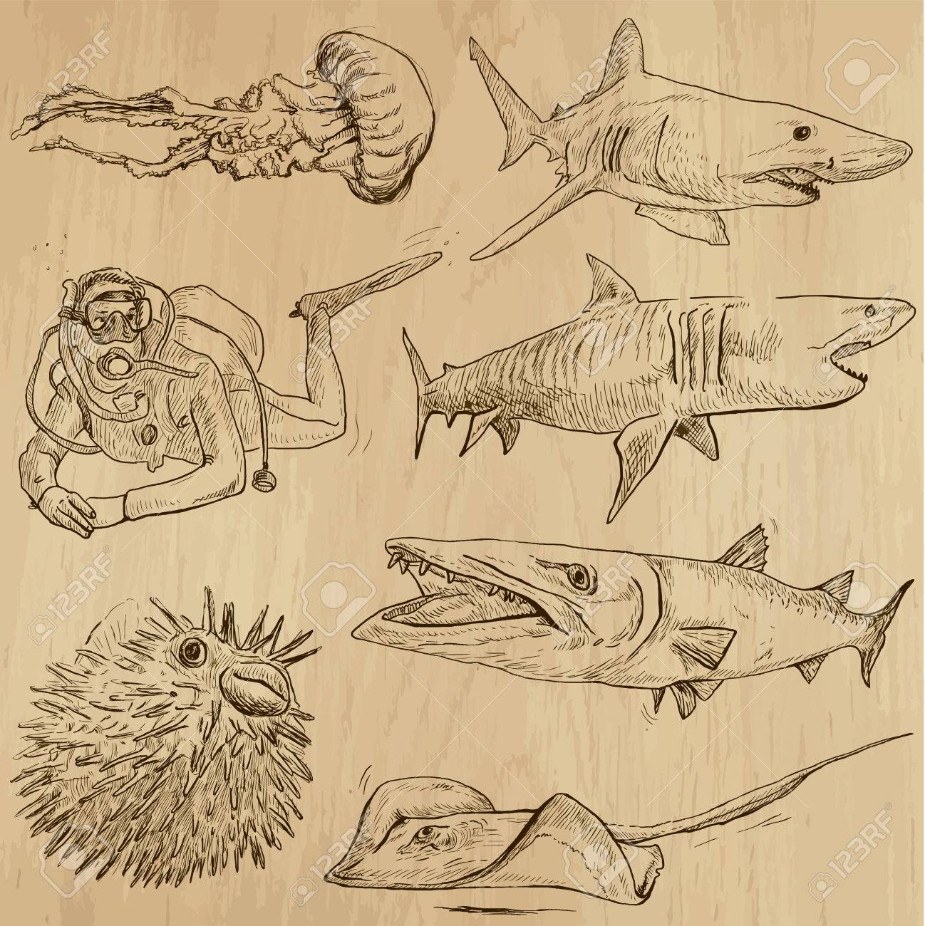 1298x1300 Underwater, Sea Life (Vector Set No.2)