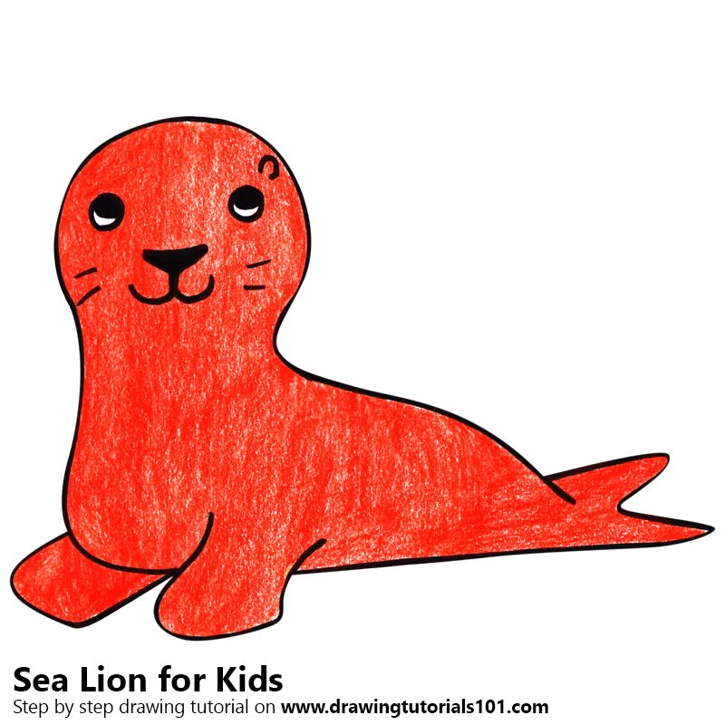 800x800 Learn How To Draw A Sea Lion For Kids (Animals For Kids) Step By
