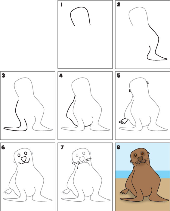 565x699 How To Draw A Sea Lion Kid Scoop