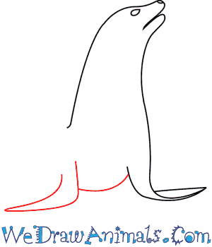 300x350 How To Draw A Sea Lion