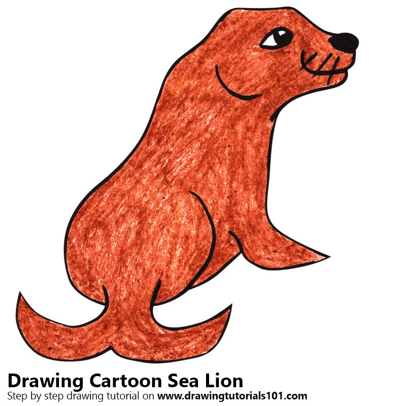 800x800 Learn How To Draw A Cartoon Sea Lion (Cartoon Animals) Step By