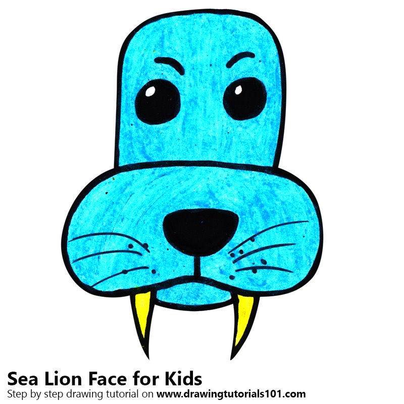 800x800 Learn How To Draw A Sea Lion Face For Kids (Animal Faces For Kids